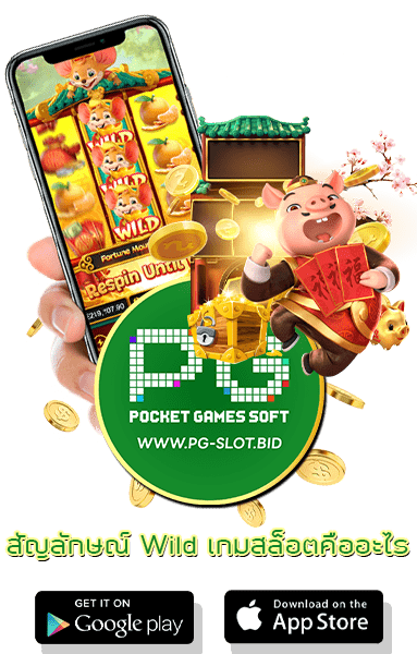 สัญลักษณ์ Wild